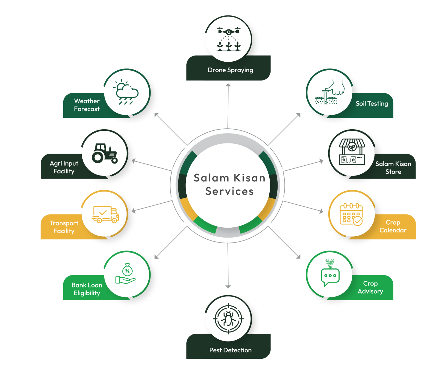 ecosystem